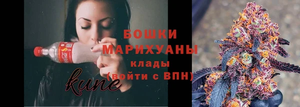 молекула духа Бронницы