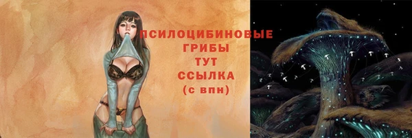 молекула духа Бронницы