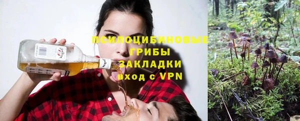 кокаин Бородино