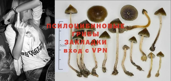 молекула духа Бронницы