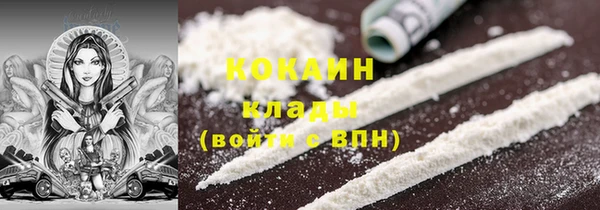 молекула духа Бронницы