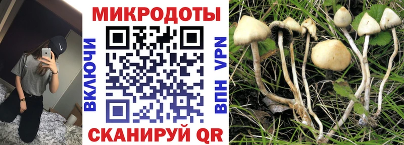 hydra tor  что такое наркотик  Кольчугино  Галлюциногенные грибы ЛСД 